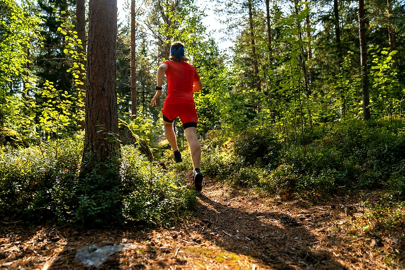 Obraz do3 Mile Dwunastki